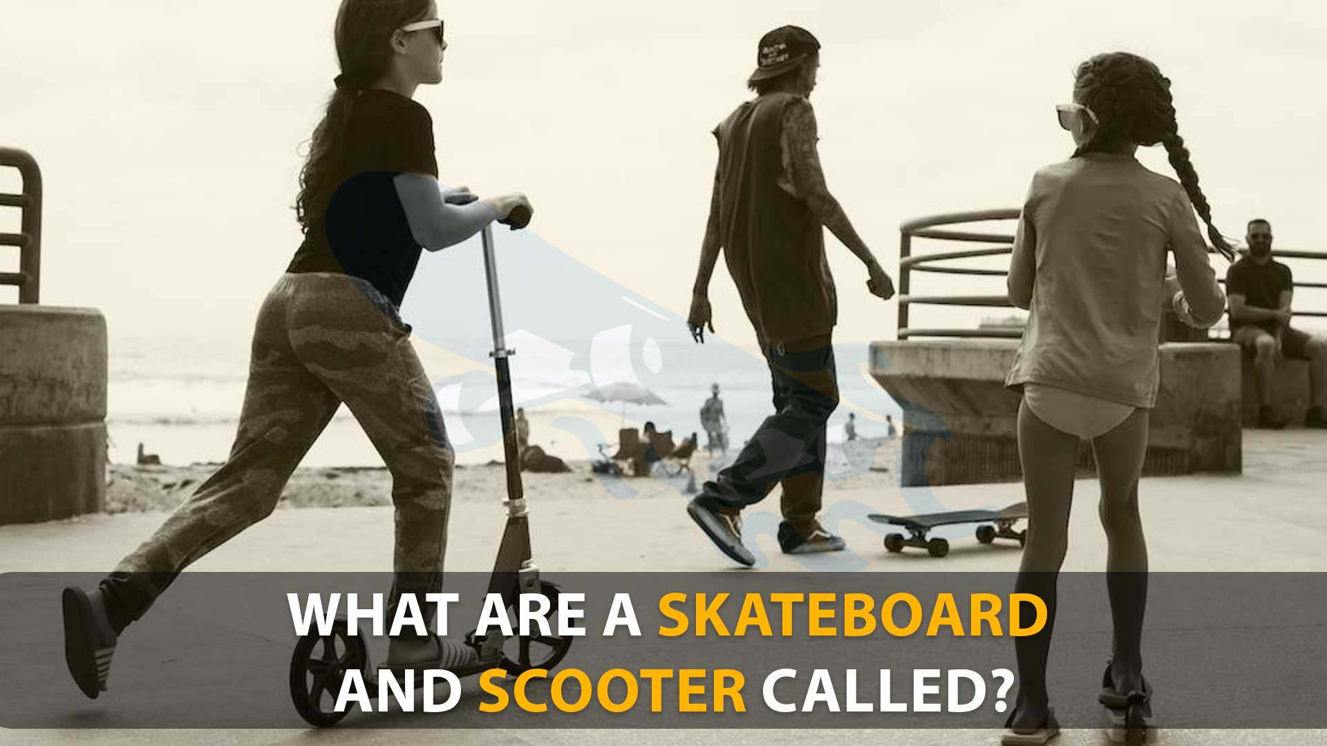 What Are A Skateboard And Scooter Called? – The Correct Terminology You Should Know 2024